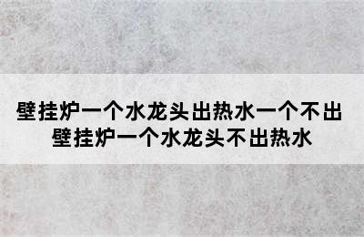 壁挂炉一个水龙头出热水一个不出 壁挂炉一个水龙头不出热水